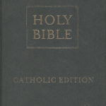 Holy Bible – New Living Translation Catholic Edition (Vinyle)