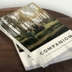 Companion 2024